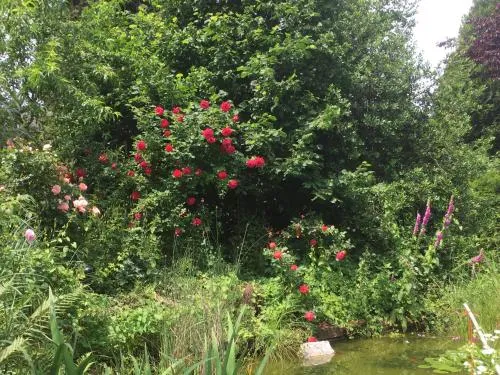 Ferienhaus La Meu in Trassem, Deutschland