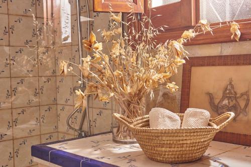 Finca Sábila Finca Sábila