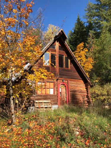 Modern Private Tiny House in the Forest