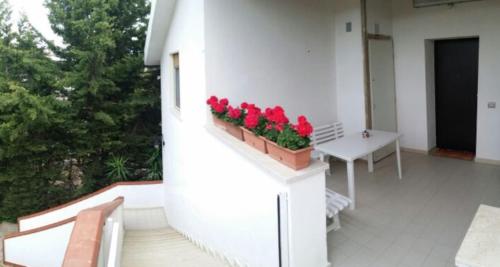 B&B Pian del Lago - image 4
