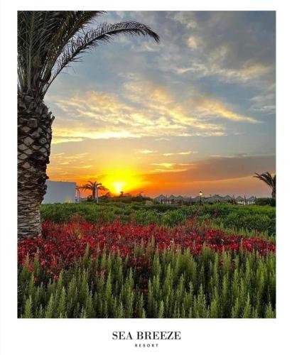 Seabreeze Baku Lighthouse seaview appartment studio Seabreeze Baku Lighthouse seaview appartment studio