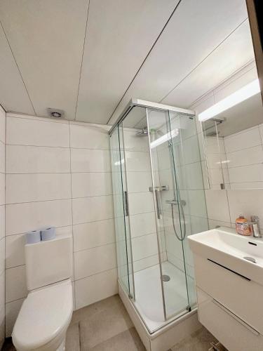 City Center Apt en-suite budget Self check in, ETH Zurich HB, Zurigo (foto 7)
