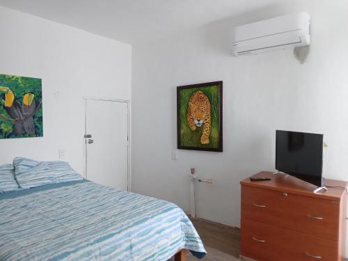 Casa ku in Playa del Carmen, Mexico
