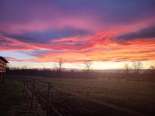 le bungalow au fond du jardin in Other