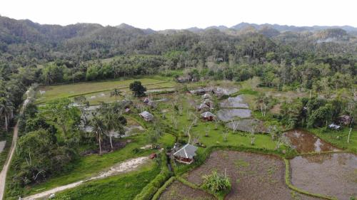 Surrounding environment, Camelo Farm in Bilar