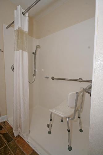 浴室, 斯泰茨維爾溫德姆麥克羅特套房酒店 (Microtel Inn & Suites by Wyndham Statesville) in 史特斯維爾 (NC)