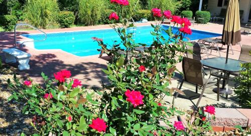 Lafayette Manor Bed & Breakfast - image 6