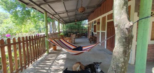 设施服务, B&B, family run homestay, Hospedaje La Penita in 上格拉西亚