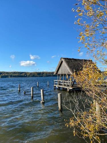 Kilátás, Appartement fliegender Hirsch in Romnitz