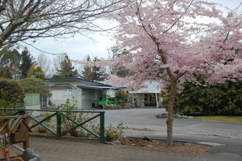 Foto - Tongariro River Motel