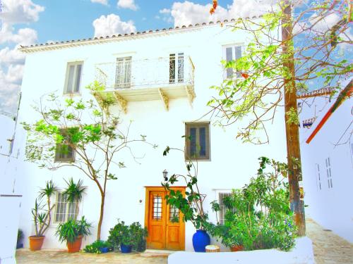 Ύδρα ivY, Hydra (Foto 11)
