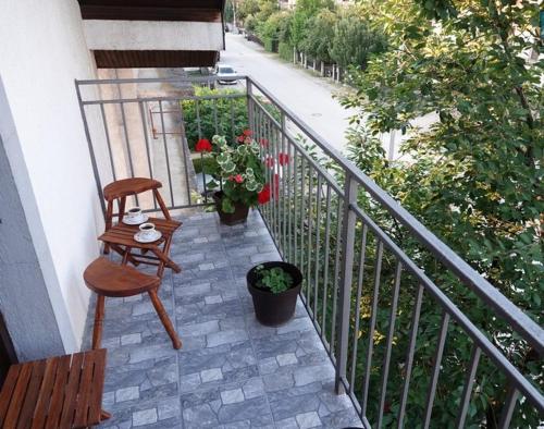 Pet Omorika in Bajina Basta