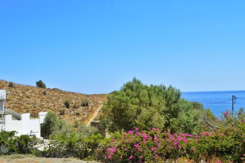 Georgia's studio in Gortina