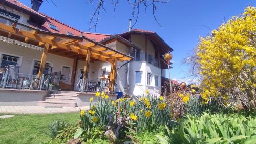 Ferienhaus Karoline - Apartment - Lichtpold