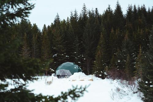 Golden Circle Domes - Glamping Experience - Hotel - Selfoss