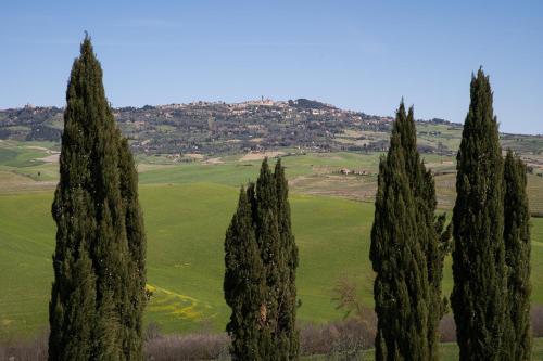 Toscana Amore Mio, stunning view & 14min Volterra