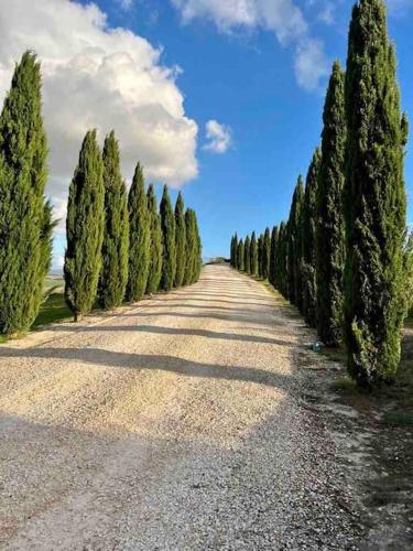 Toscana Amore Mio, stunning view & 14min Volterra