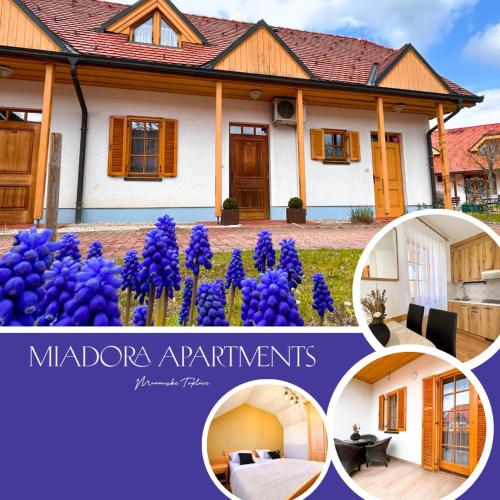 Miadora apartments - Apartma Prekmurska hiška - Apartment - Moravske Toplice