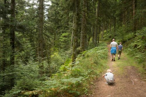 Country Camp camping Domaine des Messires