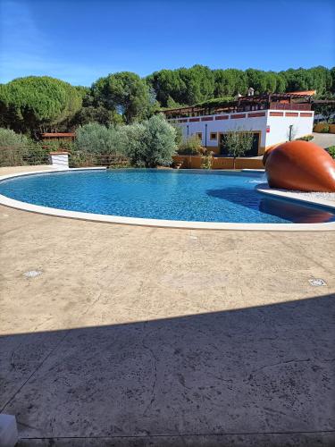 Family House Cup- Quinta das Pinheirinhas cottage Torre