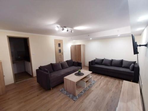 Apartament położony u podnóża Gór Bardzkich - Apartment - Bardo