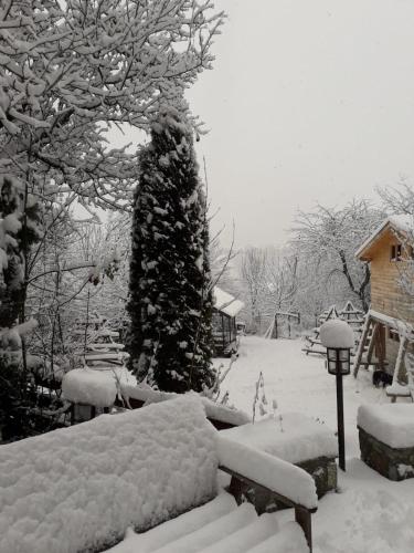 Tudor's Valea Doftanei in Traisteni