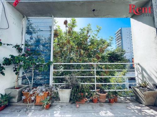 Rent Plaza in Villa Urquiza