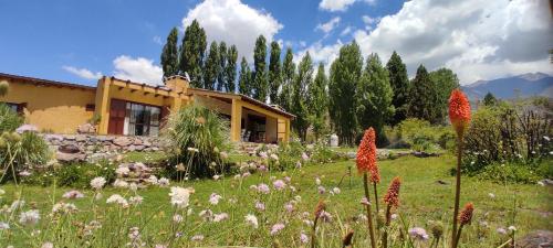 Imponente Casa de Montaña en Potrerillos