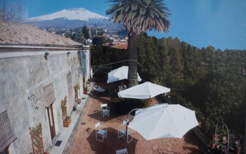 Case Zuccaro - image 10