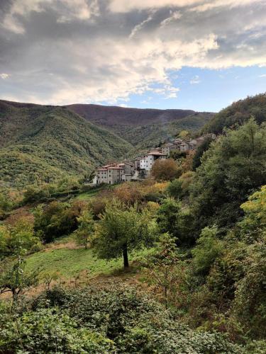  La Casetta della Nonna in Caprese Michelangelo