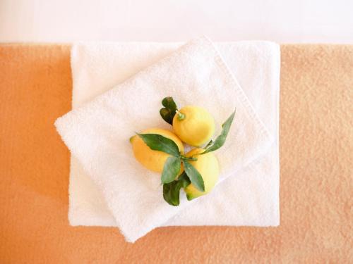 Hotel Lemon - image 14