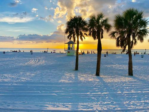 Paradise on the Wheels at Clearwater Beaches Largo