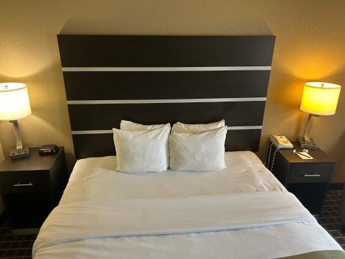 1 king bed