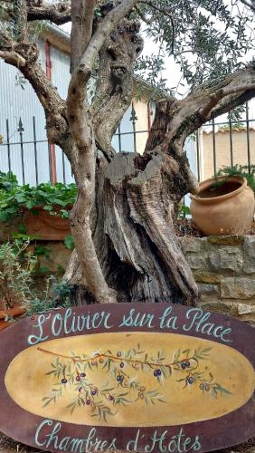L'olivier sur la place chambre d'hôte La Rochegiron
