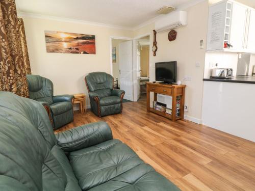 Willow Lodge Liskeard - image 4