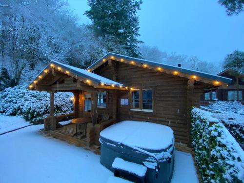 Romantic Log Cabin With Hot Tub in Aymestrey