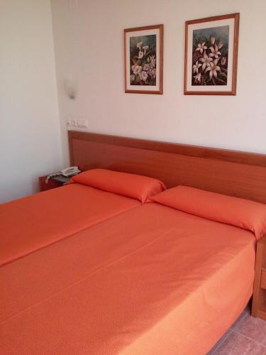 Double or Twin Room image 6
