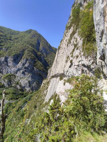 B&B Amphitryon - image 4