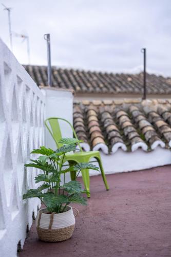 Alojamiento Turístico "La Condesa Carmen"