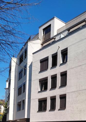 Seven Swiss Wonders, City Center, Curych (fotografie 6)