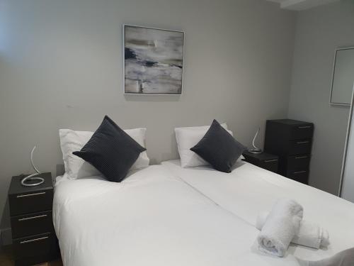 Vetrelax Southend Apartment
