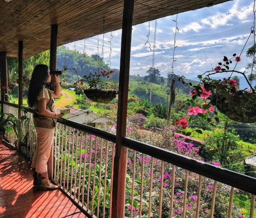 Surrounding environment, Parque Bioflora in Dosquebradas