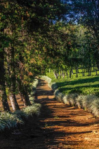 المنطقة المحيطة, بنجالو هاتالي ميني وورلدز إند (Hatale Mini Worlds End Bungalow) in Madulkelle