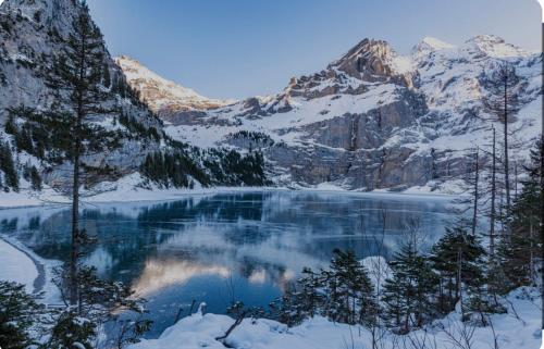 Alpina Appartment Kandersteg