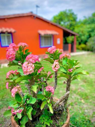 Finca el Paraíso, San Gil