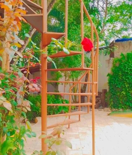 Villa ALMM photo