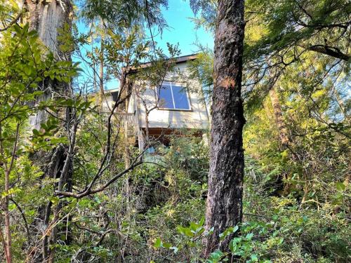 Browns Beach Guest Suite in Ucluelet, Canada