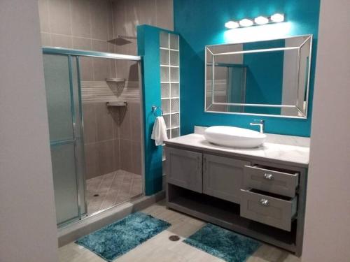 ฝักบัว, Coconut Creek Deluxe Suite in เซนต์ จอร์จ