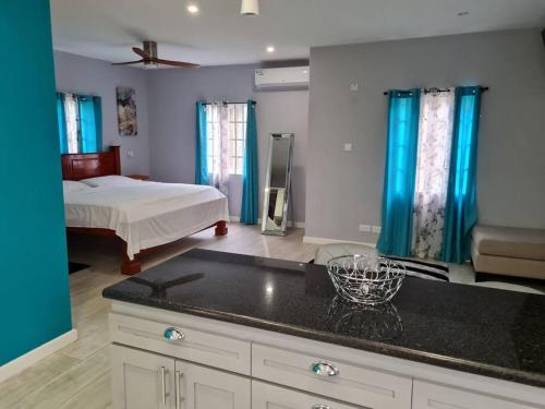 Coconut Creek Deluxe Suite in เซนต์ จอร์จ