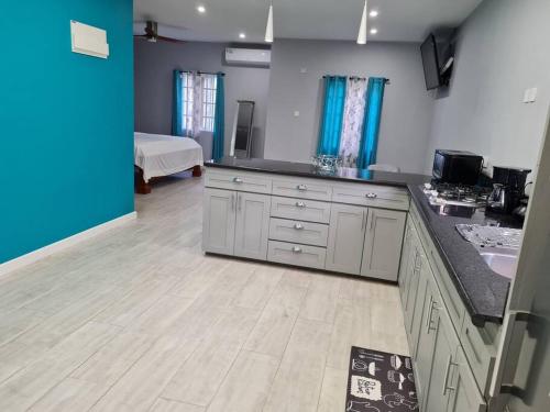 Coconut Creek Deluxe Suite in เซนต์ จอร์จ